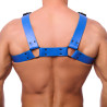 The Red Harness Harnais en cuir Bulldog Bleu